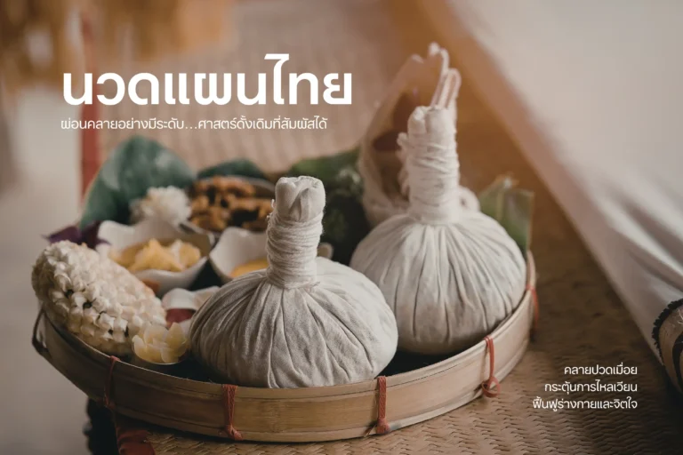 นวดแผนไทย-cover